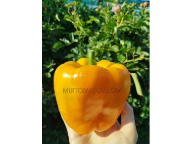 Гігант Озарк Жовтий