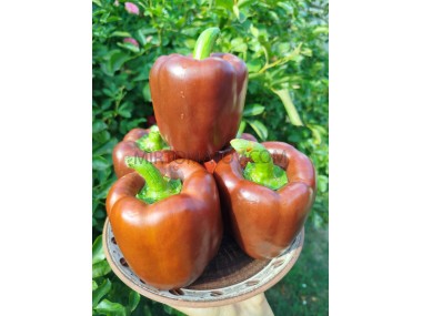 Шоколадний куб 