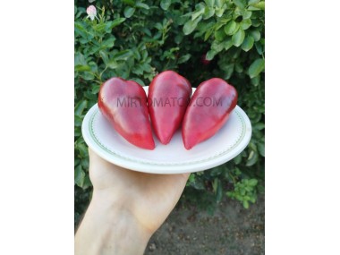 Лайлак Белл