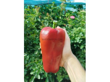 Тевере червоний