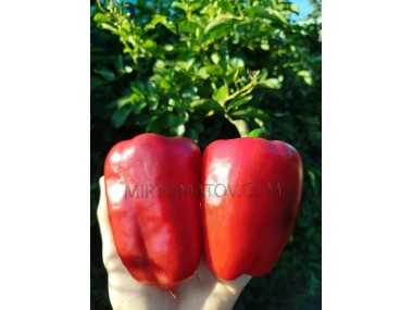 Велика Берта