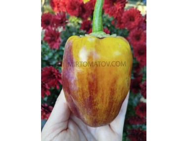 Пурпурна пляма на золотому