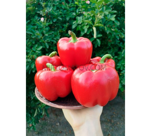 Коста-Ріканський солодкий червоний