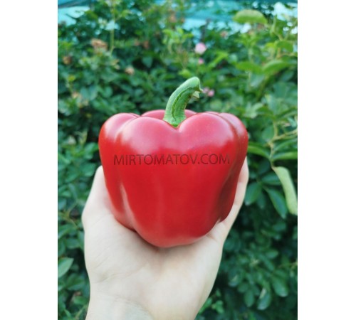 Коста-Ріканський солодкий червоний