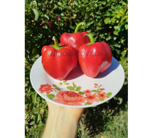 Червона шапочка