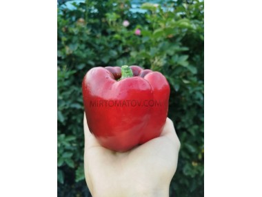 Азіатський гігант червоний