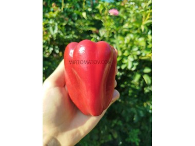 Маринкін ​​язичок