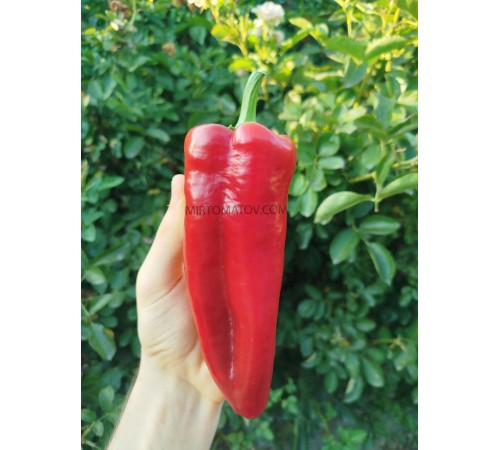 Корно Ді Торо Червоний