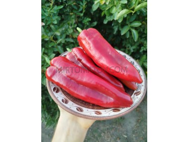 Корно Ді Торо Червоний