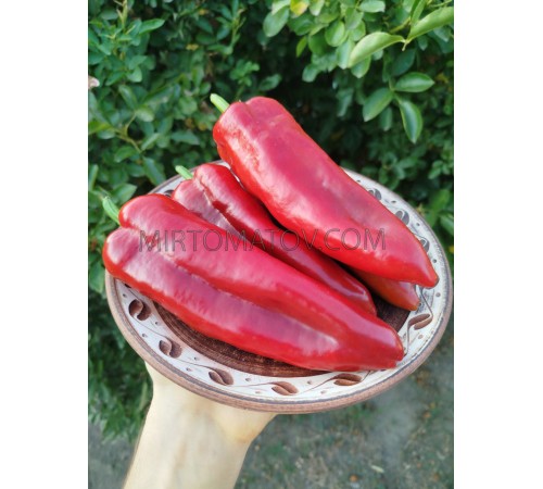 Корно Ді Торо Червоний