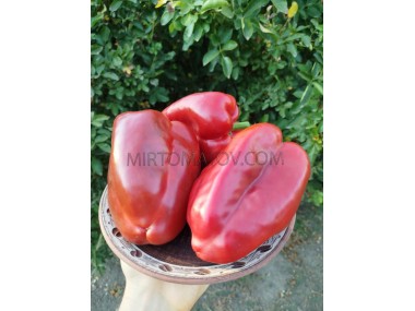 Гіганський Озарк Червоний