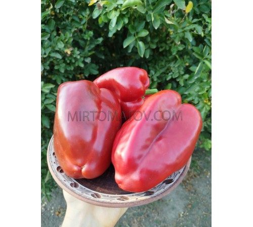 Гіганський Озарк Червоний