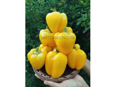 Касабланка