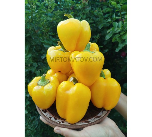 Касабланка