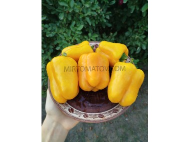 Велике золото