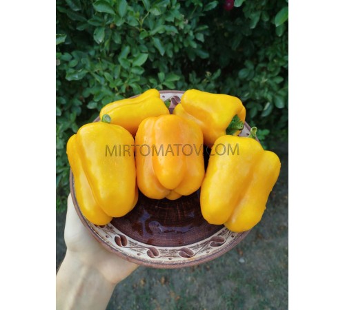 Велике золото