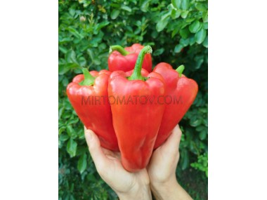 Американська корона