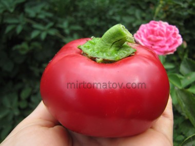 Топепо Россо