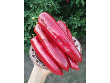 Хрещений батько