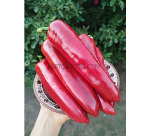 Хрещений батько