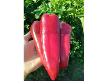 Вишневе вино