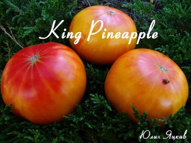 King Pineaple (Король ананас)