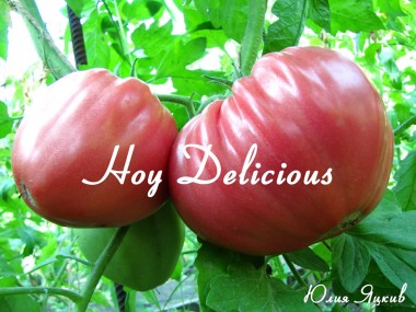 Hoy Delicious (Чудовий Хой)