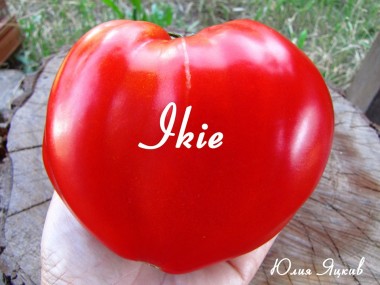 Ikie (Ики)