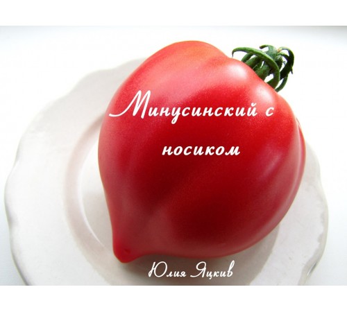 Минусинский с носиком