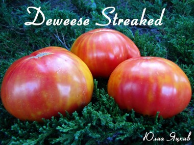 Deweese Streaked (Девизе Страйкед)