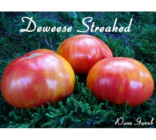 Deweese Streaked (Девизе Страйкед)