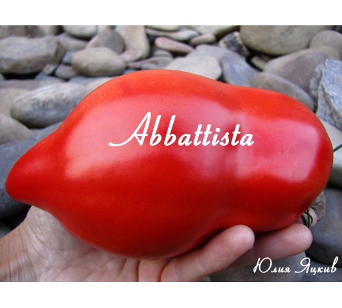 Abbattista (Абатиста)