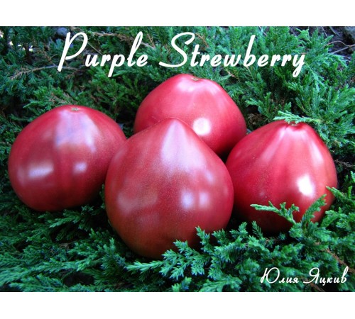 Purple Strawberry (Фиолетовая клубника)