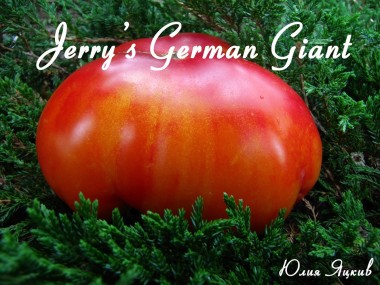 Jerry's German Giant (Немецкий гигант Джерри)