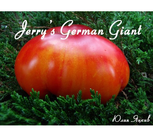 Jerry's German Giant (Немецкий гигант Джерри)