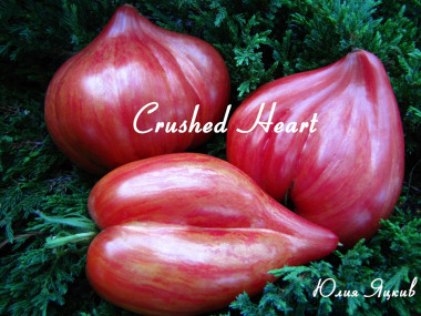 CRUSHED HEART