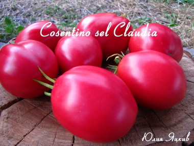 Cosentino sel Claudia (Косентіно сіл Клауді)