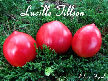 Lucille Tillson ( Люсиль Тилсон)