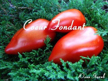 Coeur fondant (Помадное сердце)