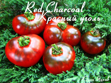 Red Charcoal (Красный уголь)