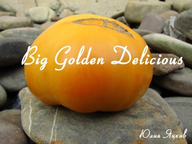 Big Golden Delicious (Большой Золотой Вкусный)