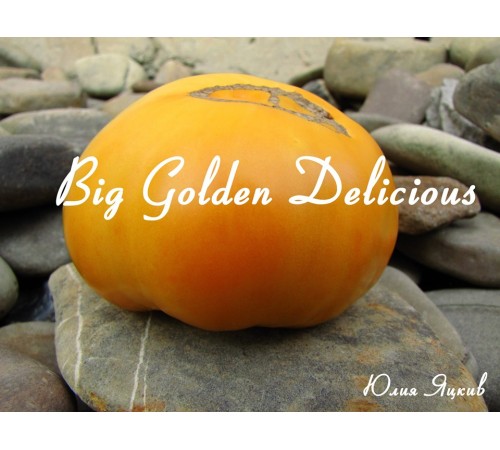 Big Golden Delicious (Большой Золотой Вкусный)