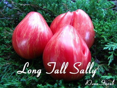 Long Tall Sally ( Долговязая Салли)