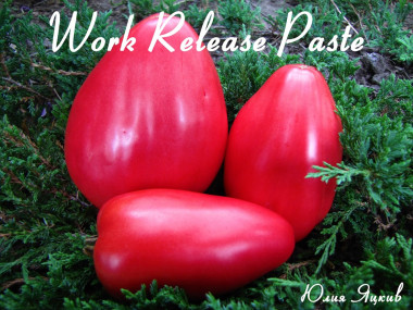 Work Release Paste (Рабочий выпуск пасты)