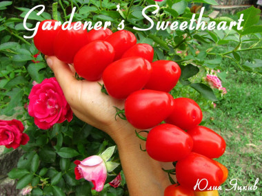 Gardener's Sweetheart