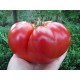 Tomatoes from Botosani (Rosii de Botosani)