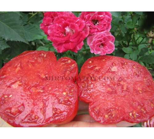 Tomatoes from Botosani (Rosii de Botosani)