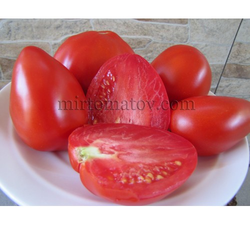 Tomatoes Jelna (Rosii de Jelna)