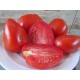 Tomatoes Jelna (Rosii de Jelna)