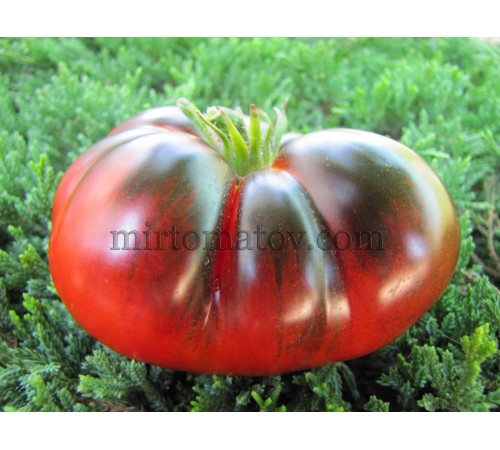 Марманде Блу (Marmande Blue)